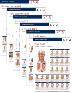 Set Lernposter Anatomie