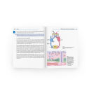 Fachwelt - Physiologie Facts