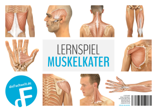 Lernspiel Muskelkater - Spielblock (100 Blatt)