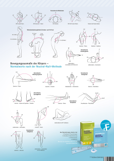 Poster - Bewegungsausmaße des Körpers