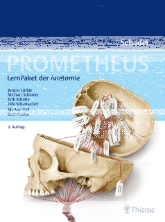 PROMETHEUS Schädel, LernPaket der Anatomie