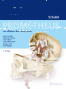 PROMETHEUS Schädel, LernPaket der Anatomie
