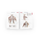 Trailguide Arbeitsbuch