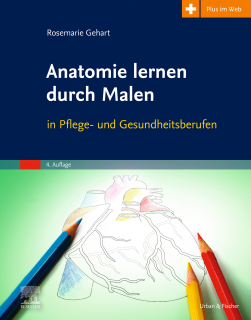 Anatomie lernen durch Malen