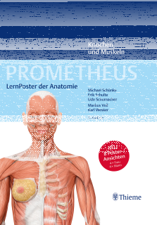 PROMETHEUS - LernPoster der Anatomie