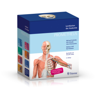 PROMETHEUS - Lernkarten der Anatomie