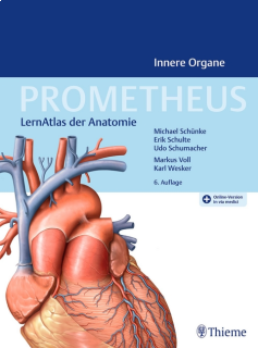 PROMETHEUS - Innere Organe