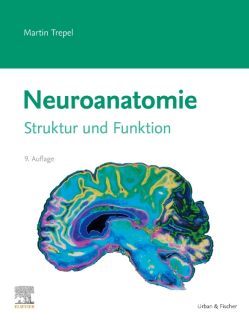 Neuroanatomie