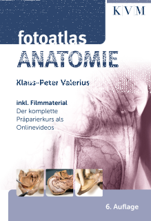 Fotoatlas Anatomie
