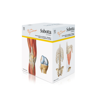 Sobotta Lernkarten für Physiotherapeuten